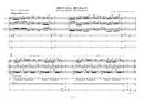 Bird Poly-rhythm(Bird Rhythm II)　op.106
