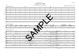 Cepheus Note Concerto for piano left hand & orch.
