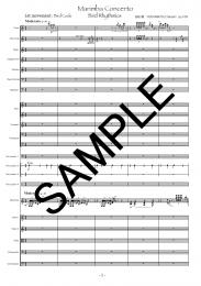 Marimba Concerto"Bird Rhythmics" op.109