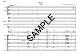 3 Aqaurelles for Chamber Orchestra op.114